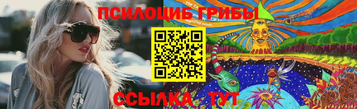 что такое наркотик  Вход с VPN  Александров  Галлюциногенные грибы мухоморы 