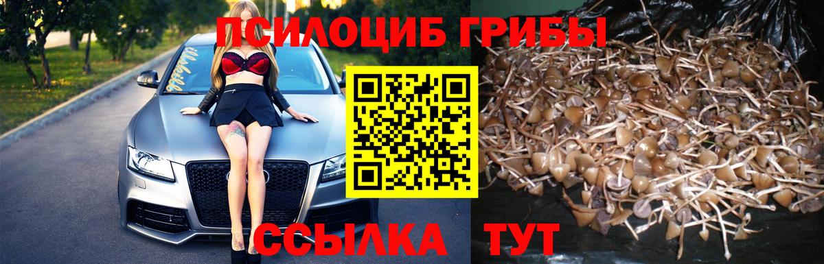 Галлюциногенные грибы мицелий Александров